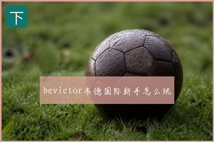 bevictor韦德国际新手怎么玩